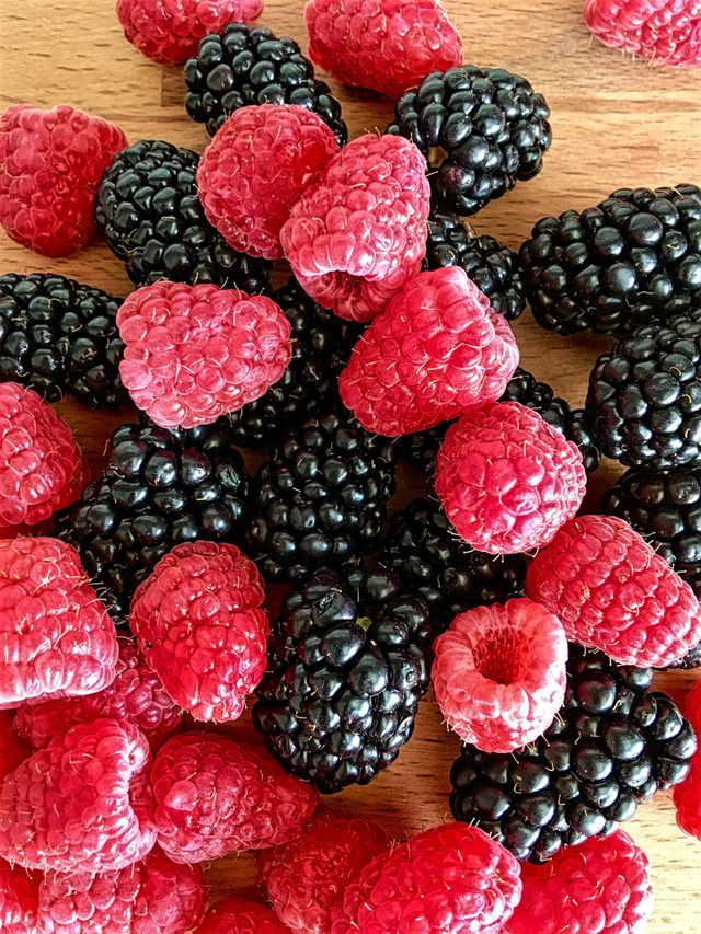 Red and Black Berries 