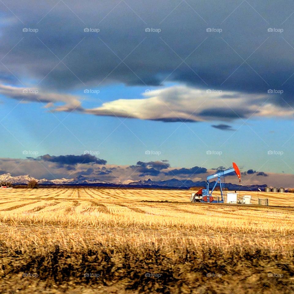 View of a working oil pump jack pumping on field