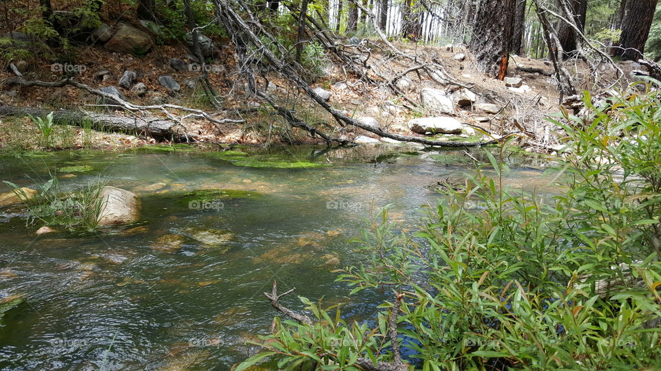Streams In New Mexico