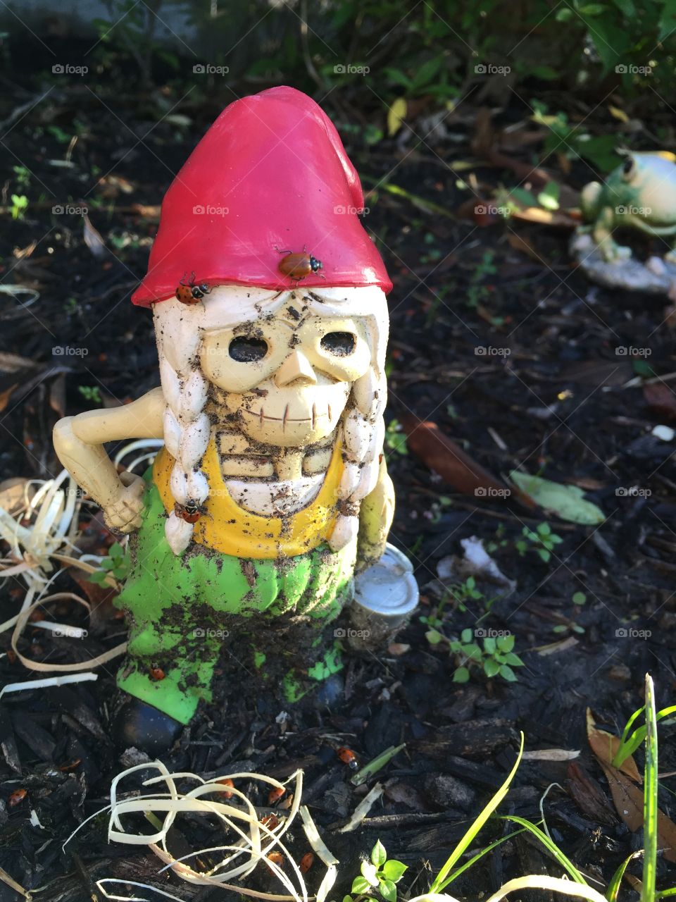 I have decided that this is what I will look like when I'm old! I'm collecting gnomes for our front yard to represent our family and close friends! This one is me! An old hippy tending to her garden. 