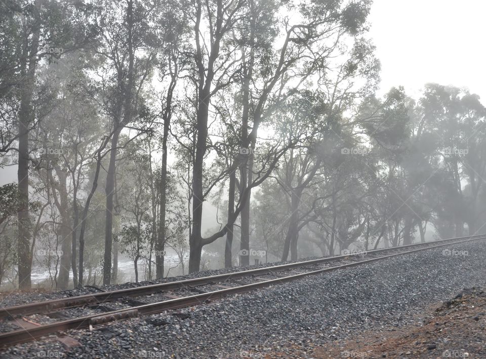 Foggy railway