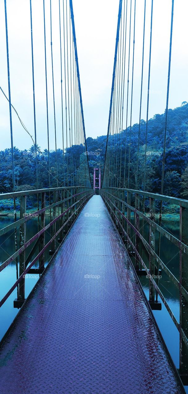 Hanging Bridge