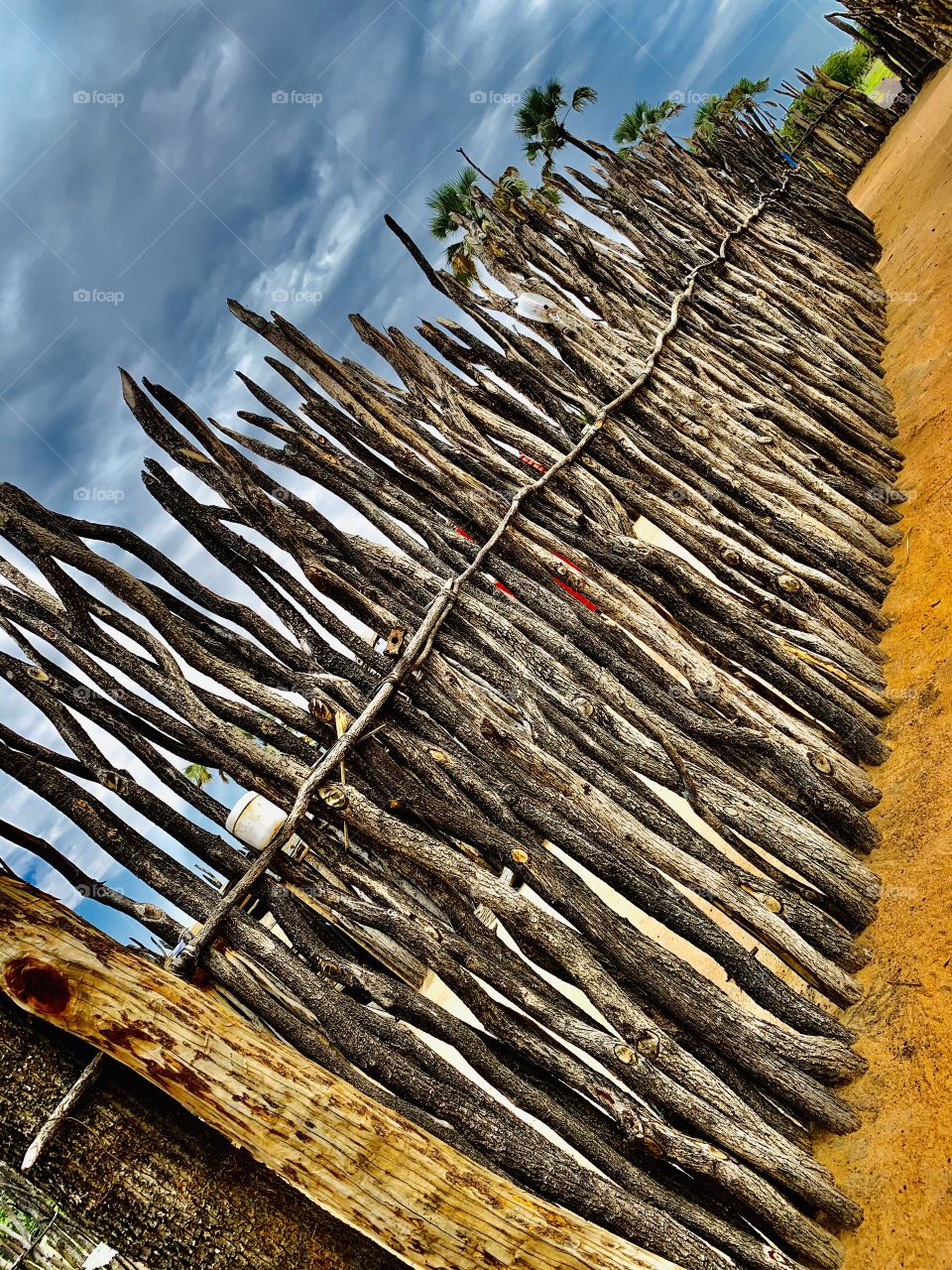 A line of timber used as a house yard partition in the homestead. Very dry brown and beautiful on a cloudy Sunday morning. Our African homesteads are purely made of timber, neatly lined.