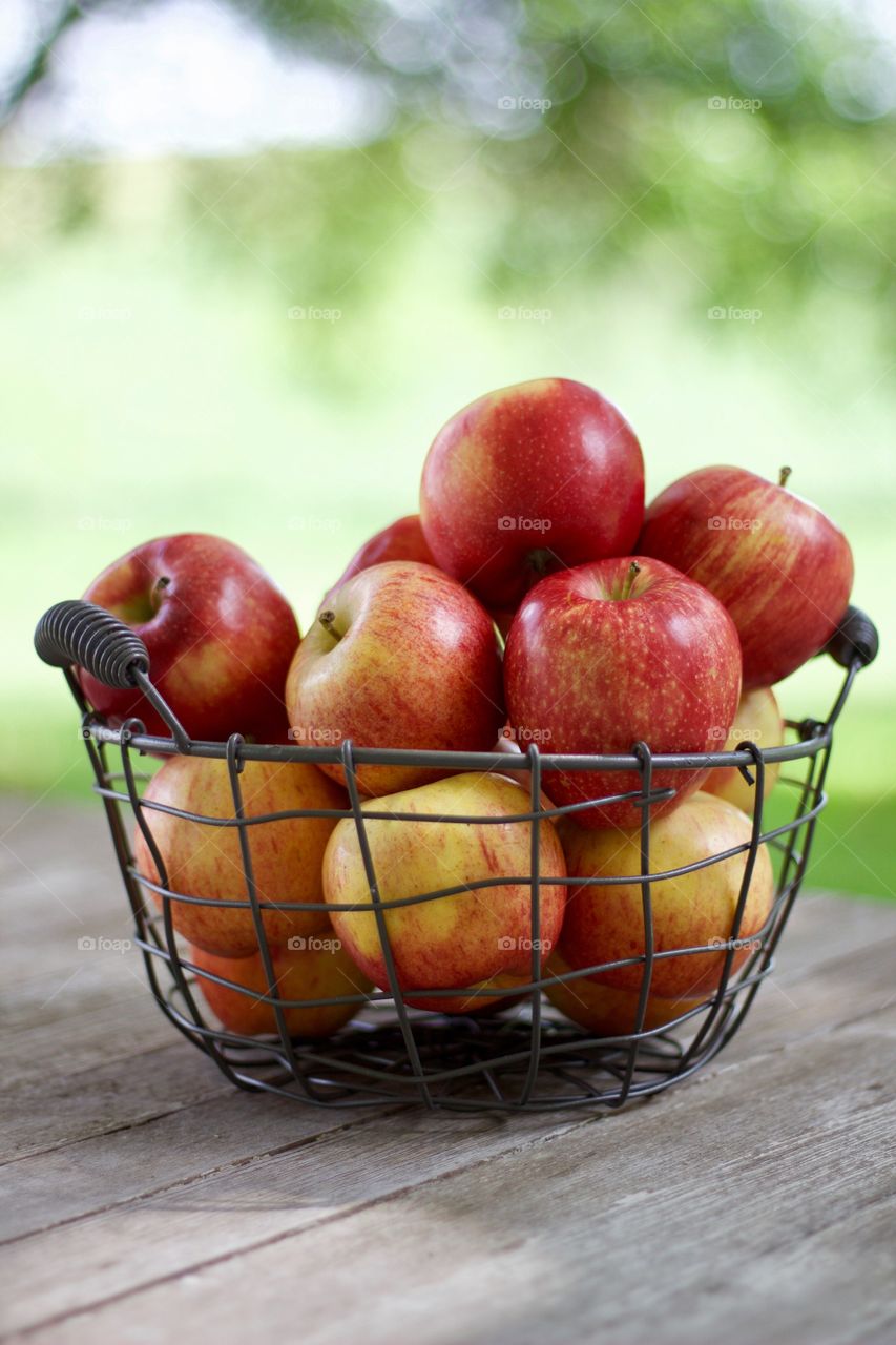 Fruits! - Apples in a wire basket on a weathered wooden surface against a background of blurred trees