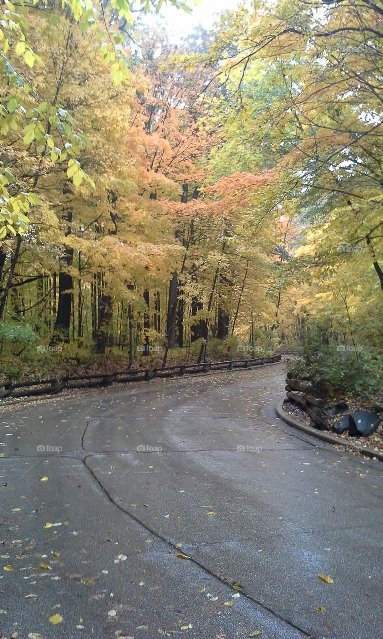 beautiful day at the zoo