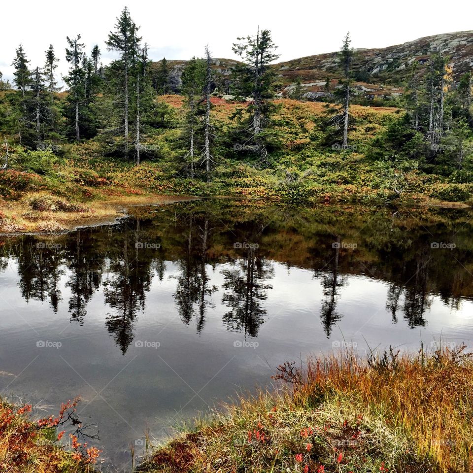 Hallingdal, Norway. Reflection in water