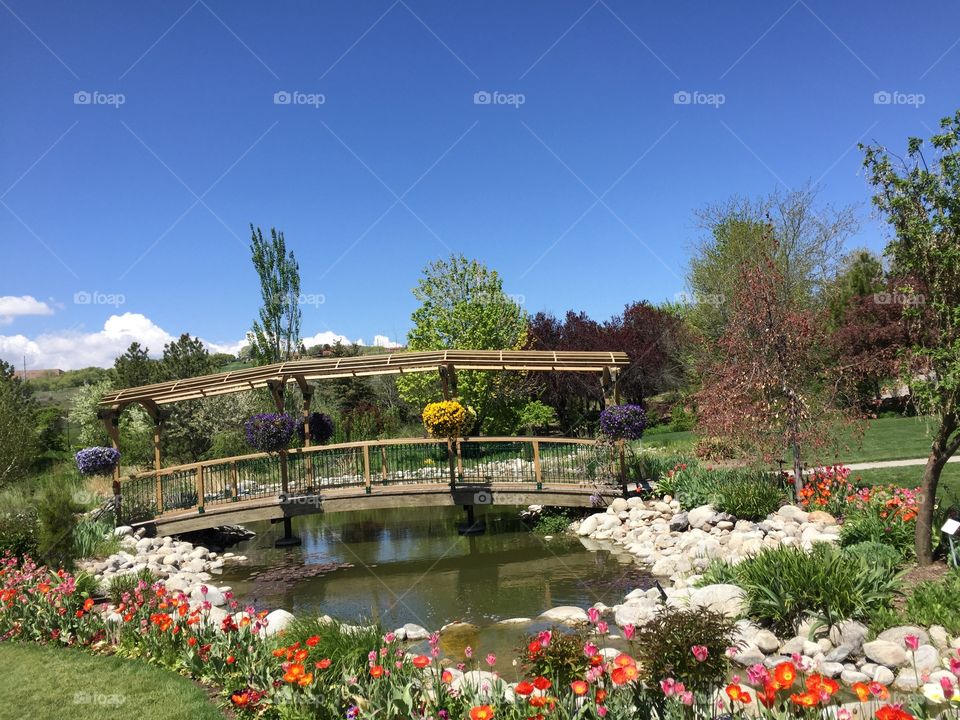 The Monet Garden The Tulip Festival, at Thanksgiving Point. Lehi, Utah. Copyright © CM Photography 2019.