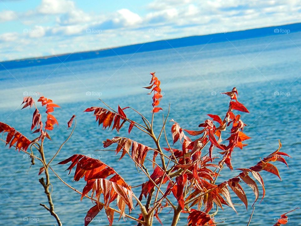 Tobermory Ontario . Georgian Bay ont in the autumn colours. 