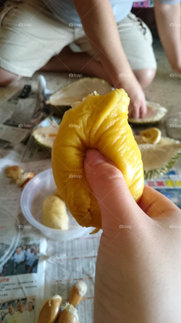 Flesh . The golden durian flesh. 