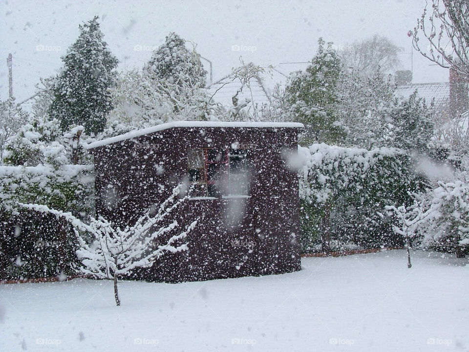 snow winter garden tree by gazzman09