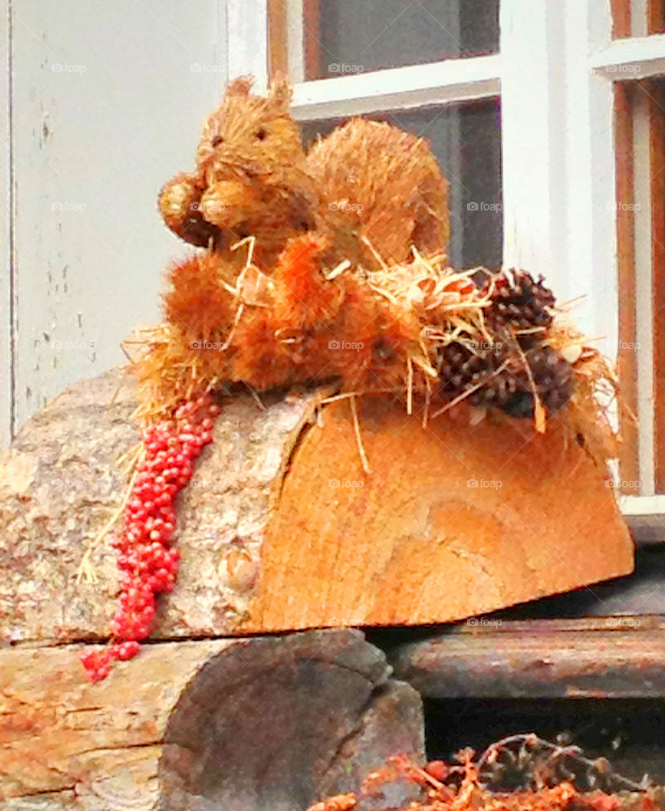 a hand made squirrel made of straw at his window zermatt by swisstraveler
