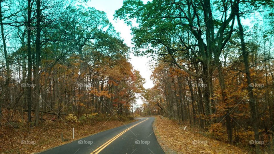 Fall Road Trip