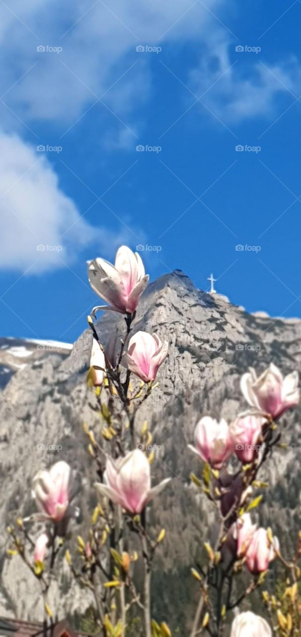 Magnolia and the cross from Caraiman mountain