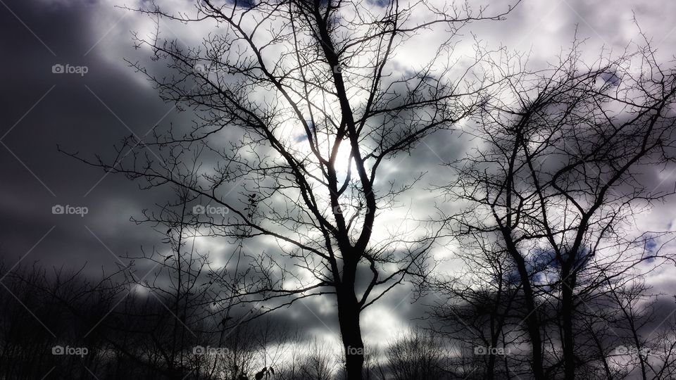 Illuminating Rays Peeking Through 