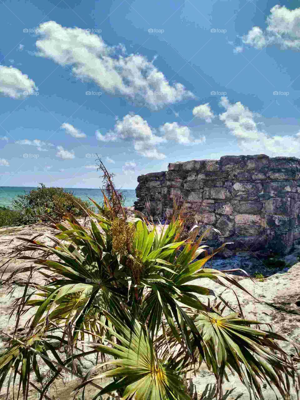 Playa Ruin. Site seeing