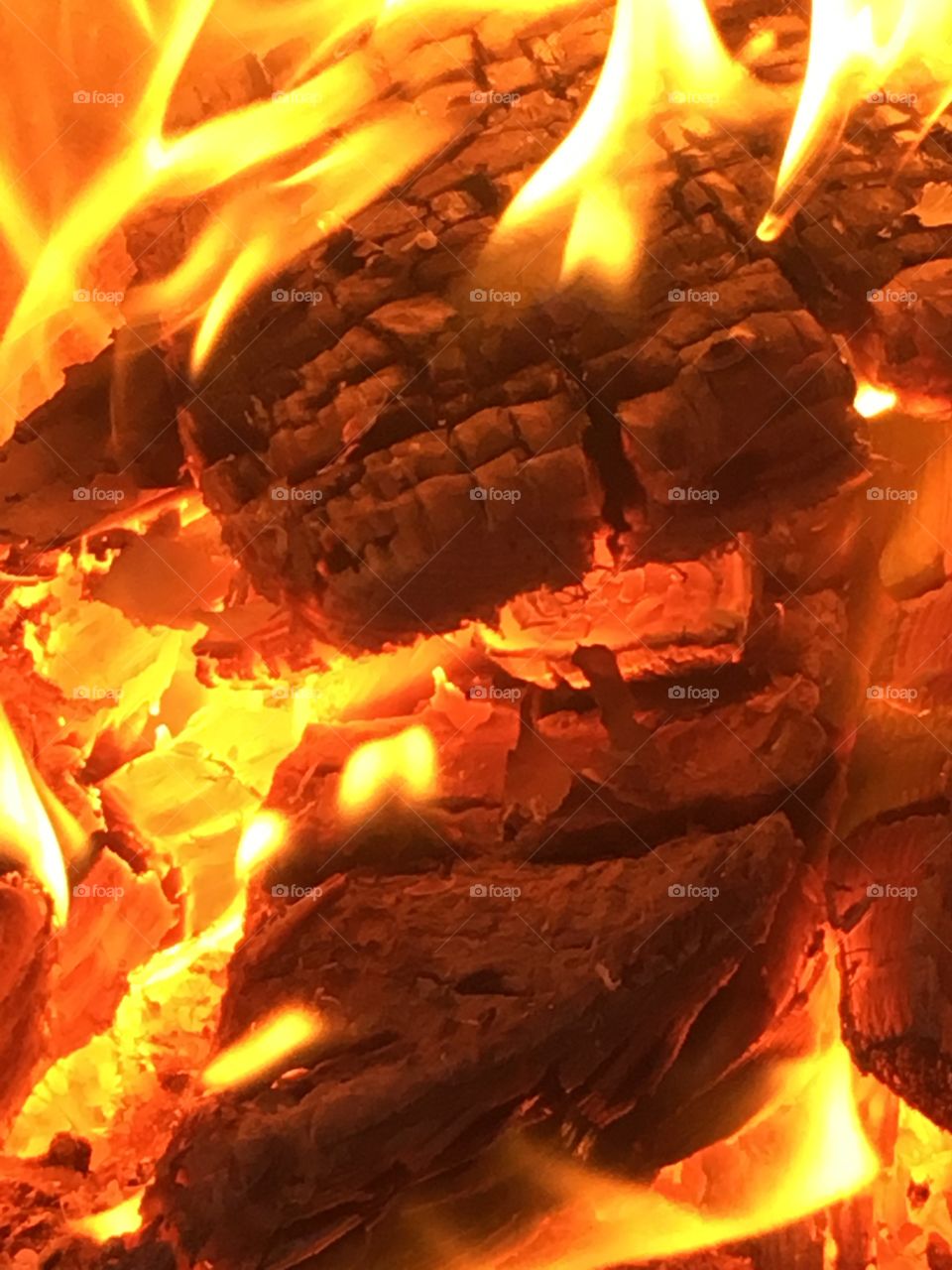 Close up view of firewood burning in the fire and flames 
