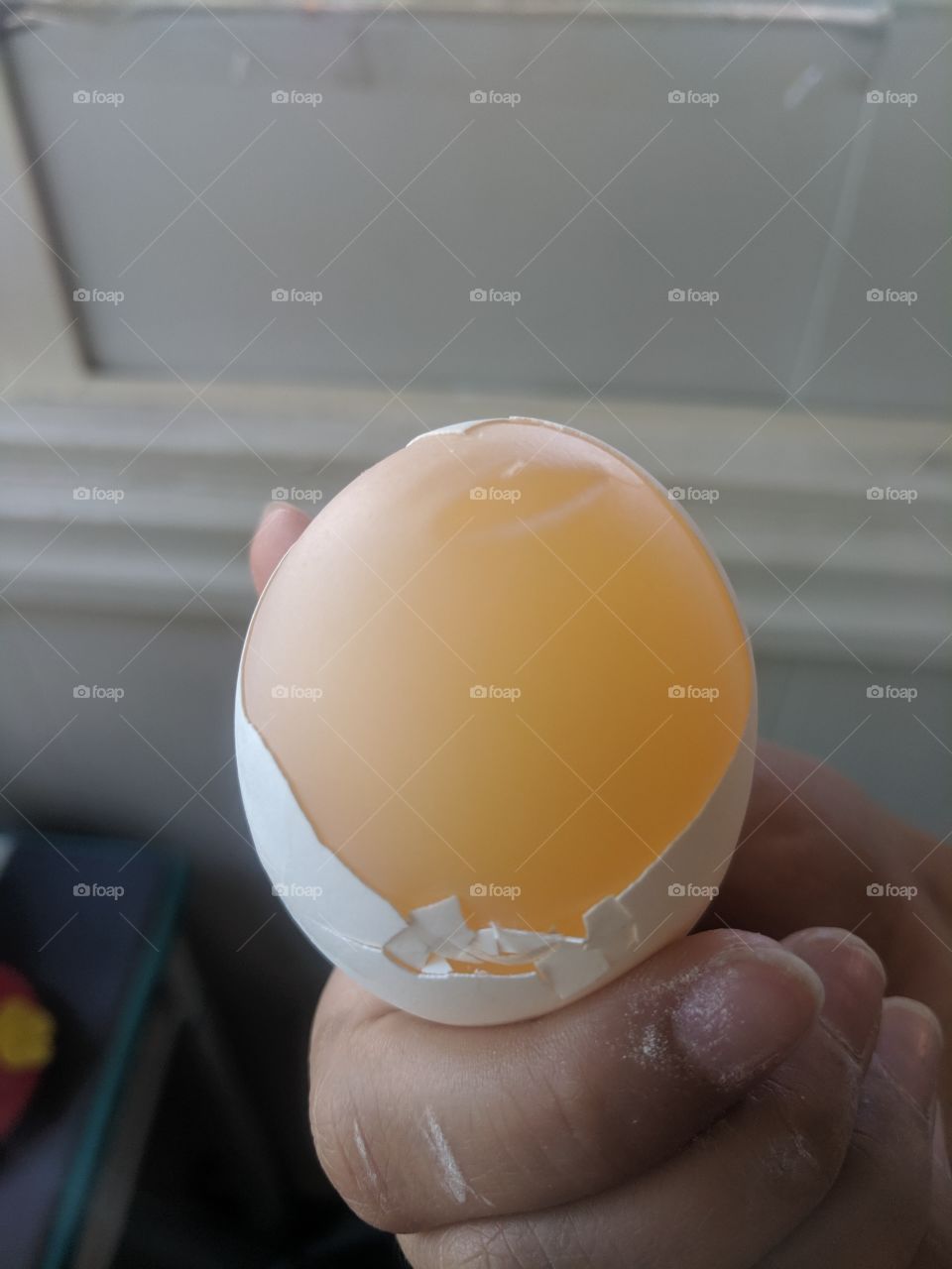 inside egg view