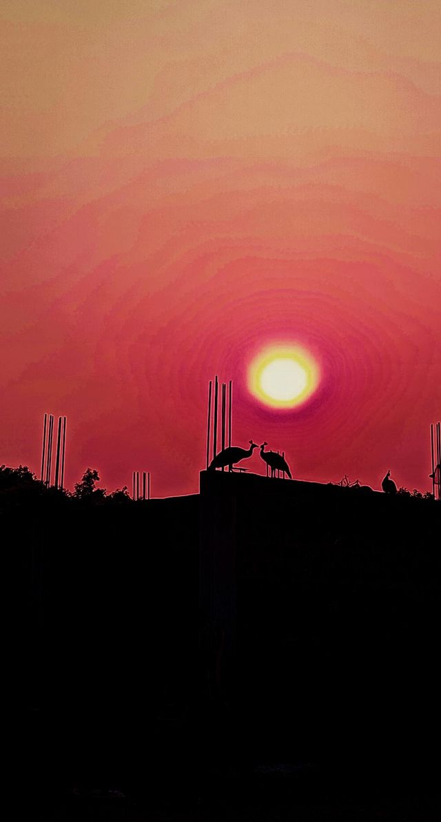 Best shot of the week
