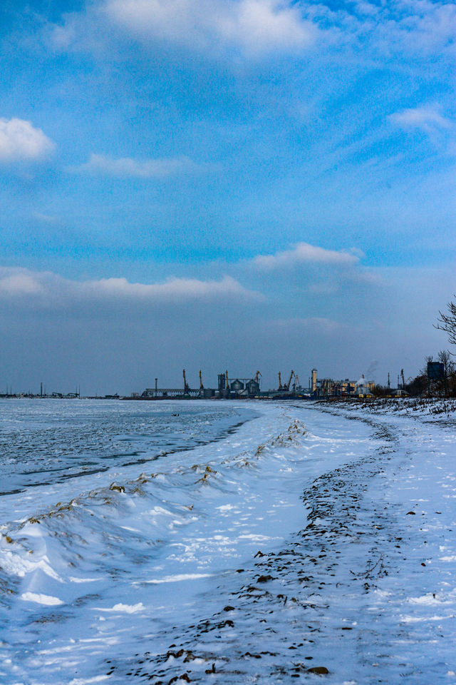 Winter