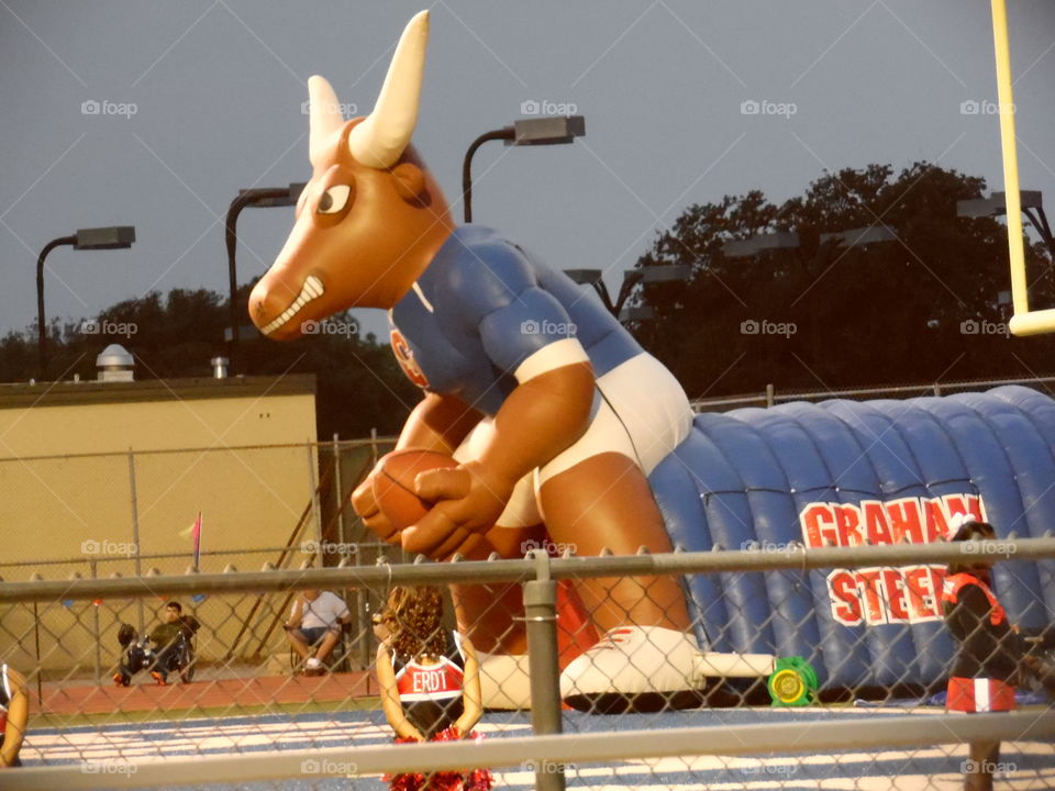 Graham steers. This is a picture of a blowup steer that is used to introduce the players. 👣 🚶 🏃 🔥 💨