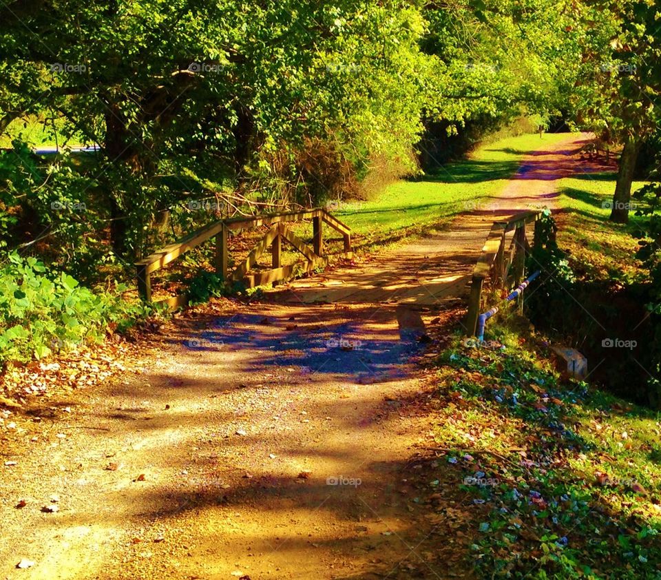 Country road with bridge