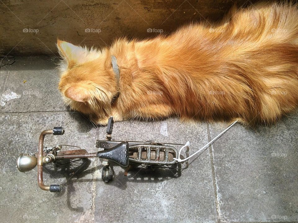 From the world of liliput, kidnapping