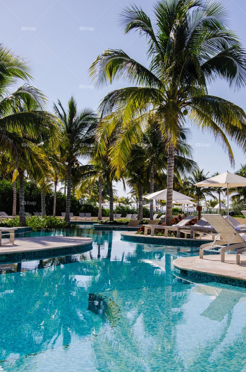 Resort pool by ocean