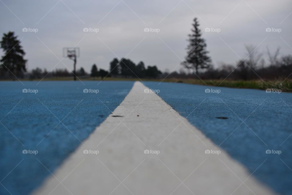 A line on the basketball court leads to the greenery