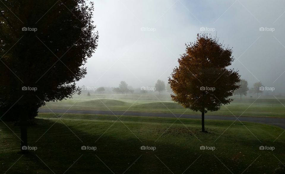 Autumn Morning Mist