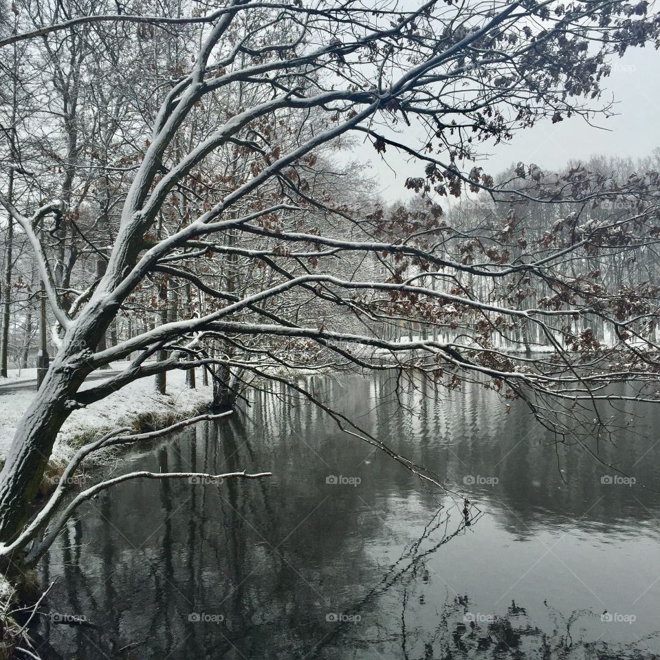 Snowy morning by the lake 