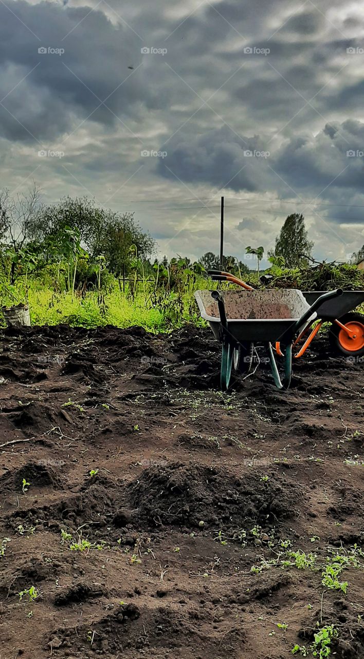 земля, поле