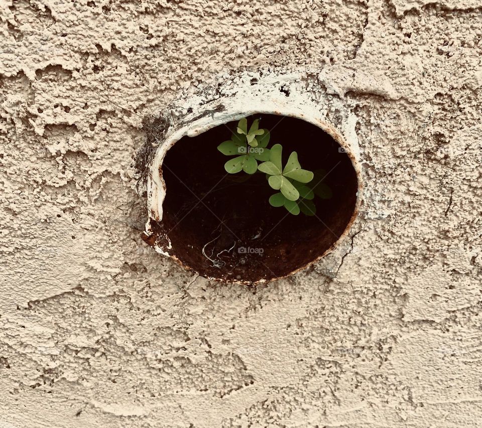 Small environments to grow