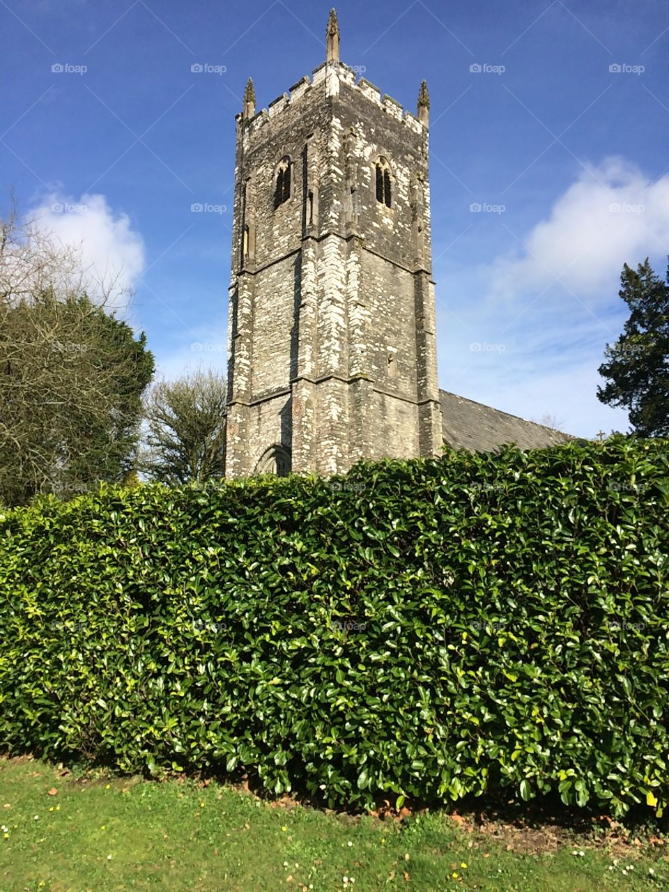 Over the hedge is the tower