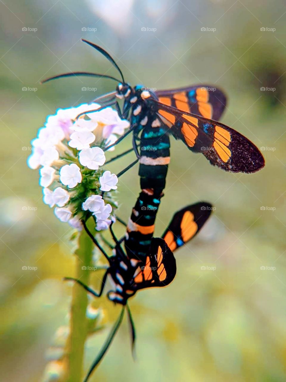 it's beautiful view.should we be damaging this beautiful sight like this?I think not