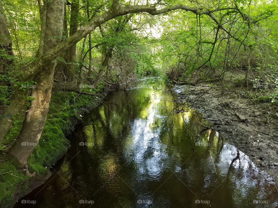Peaceful creek