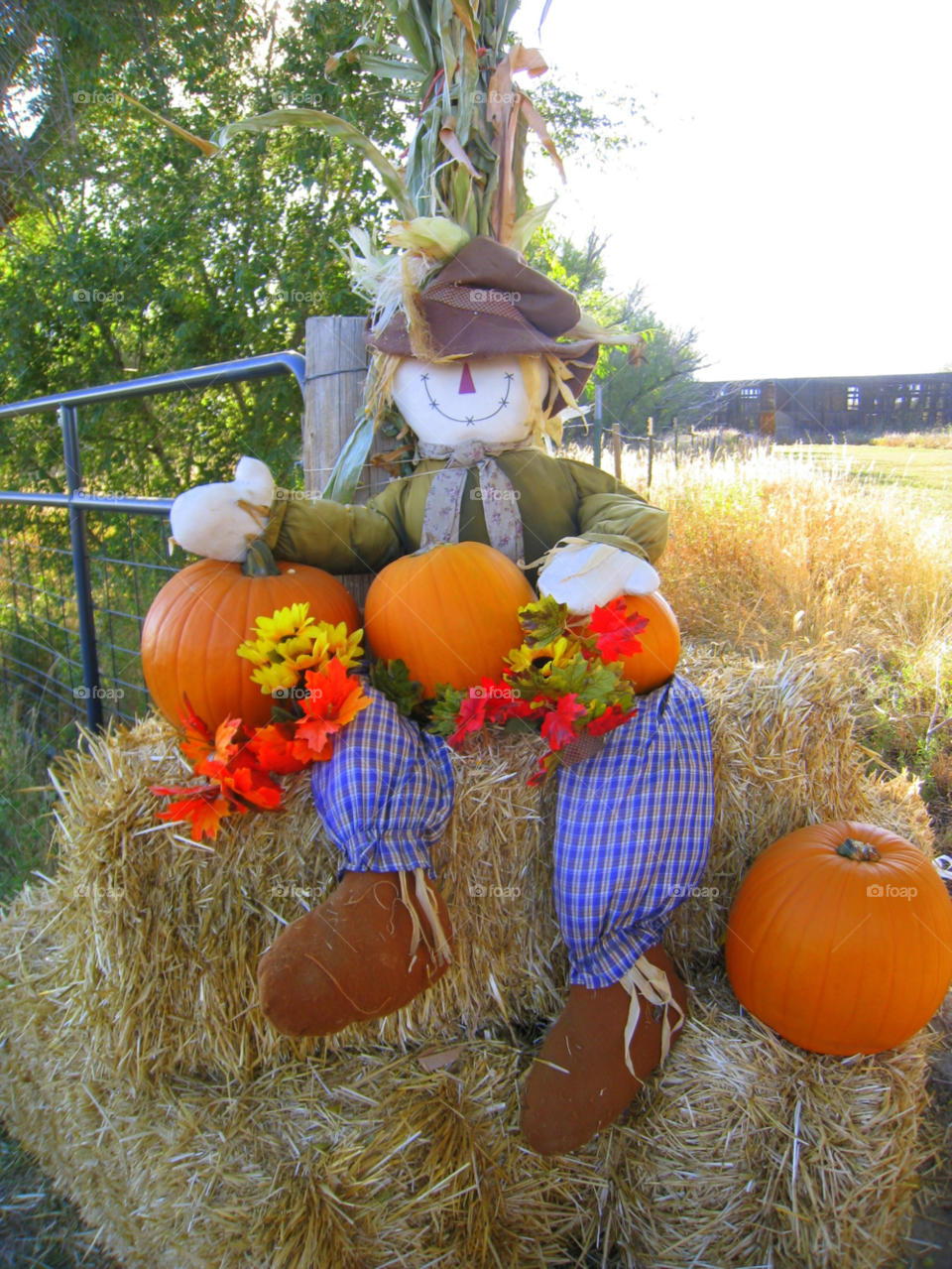 flowers cute creative farm by mengzishiliu