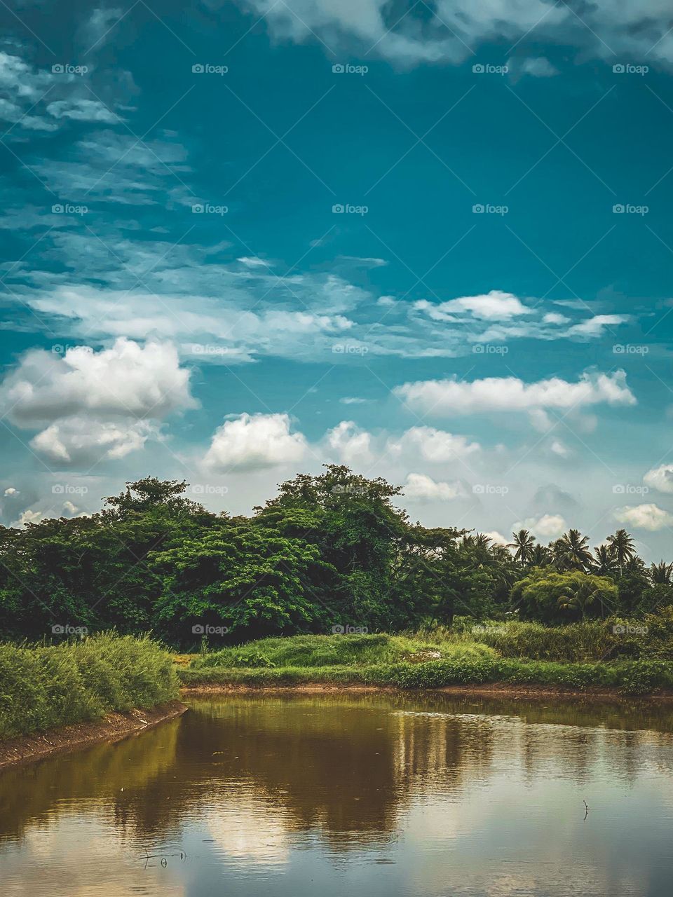 River and beautiful view of the background with big trees and cloudy blue sky