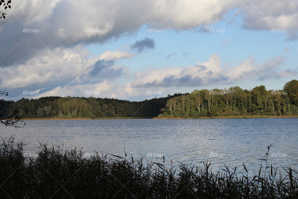 View from barbecue place