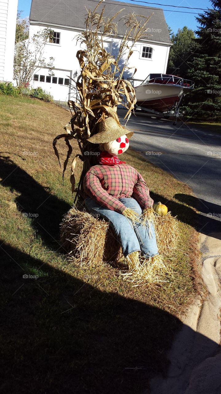scarecrow at the mailbox