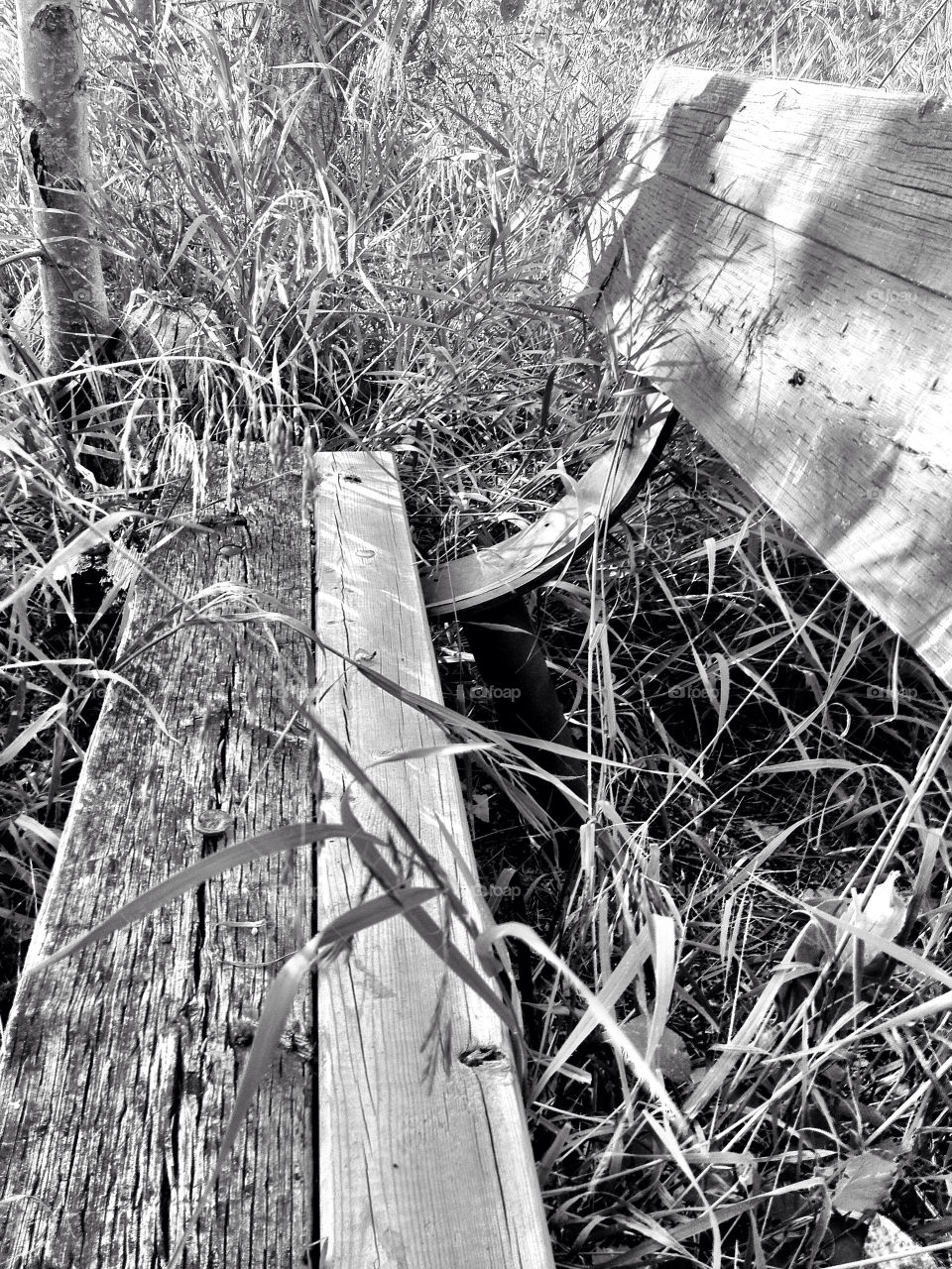 nature grass bench secluded by stykellee
