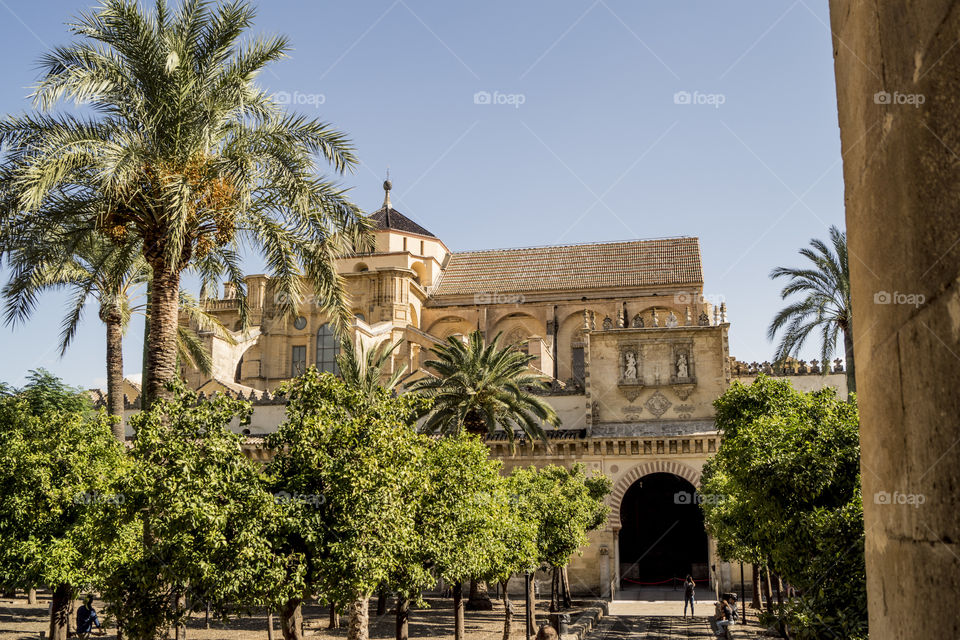Casa de arquitectura tradicional andaluza, en Córdoba con árboles y palmeras delante en un día de cielo azul despejado.