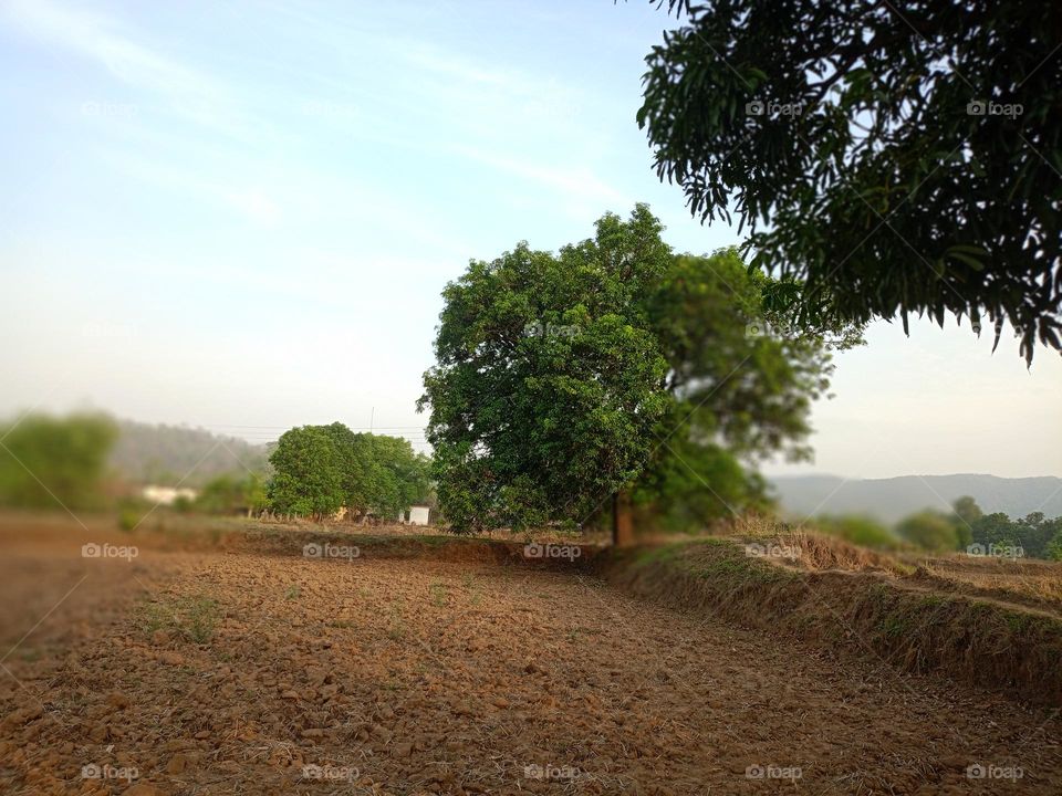 a productive land fertile land of
nice village of tree
open sky is the best weather