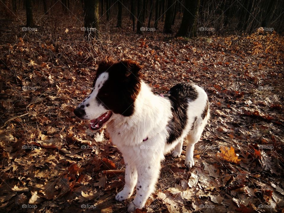 He makes me feel happy! 💘