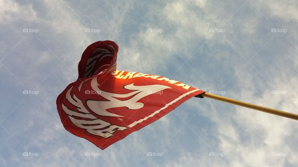 Roll Tide. representing Alabama Crimson Tide in Arizona