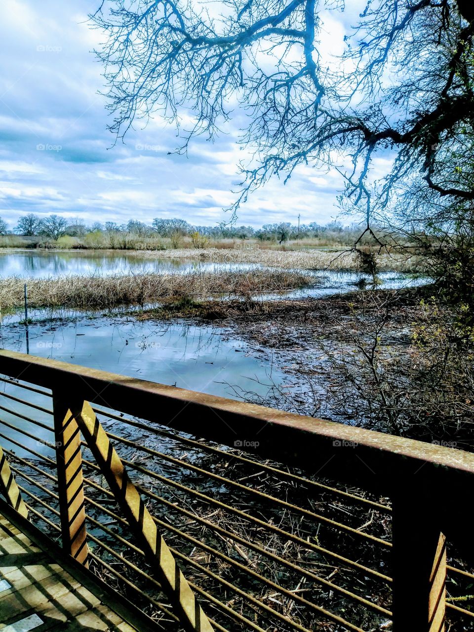 flooded wetlands. view from pedestrian bridge