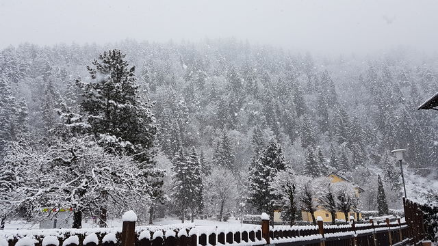 beauty of nature
