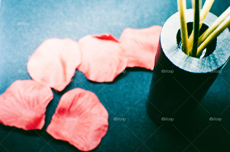 High angle view of a rose petal and pencil case