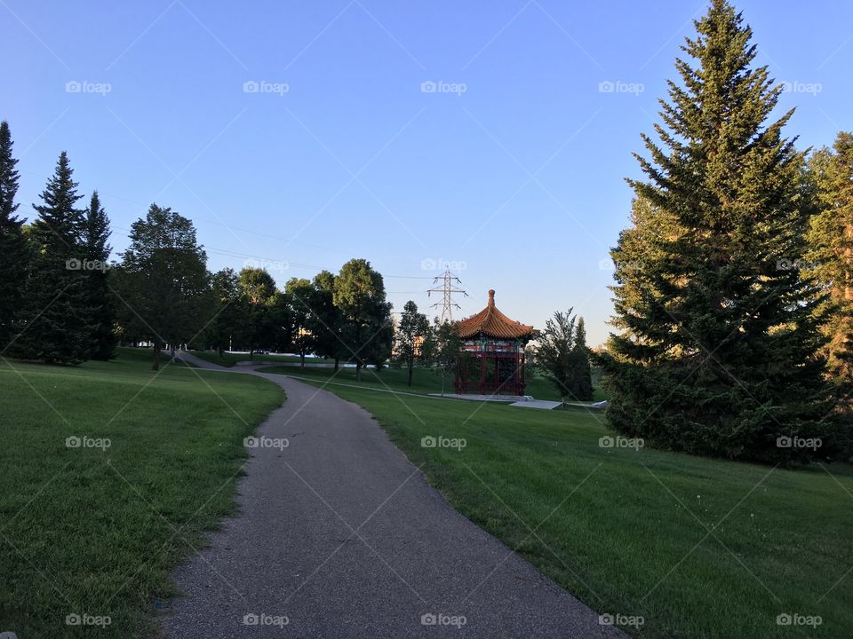 Tree, No Person, Road, Landscape, Grass