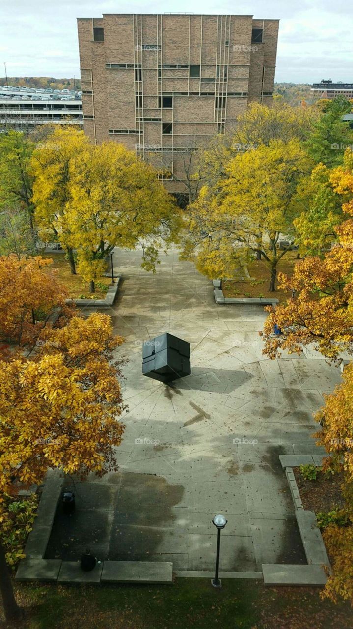 University of Michigan Central Campus (Fall)