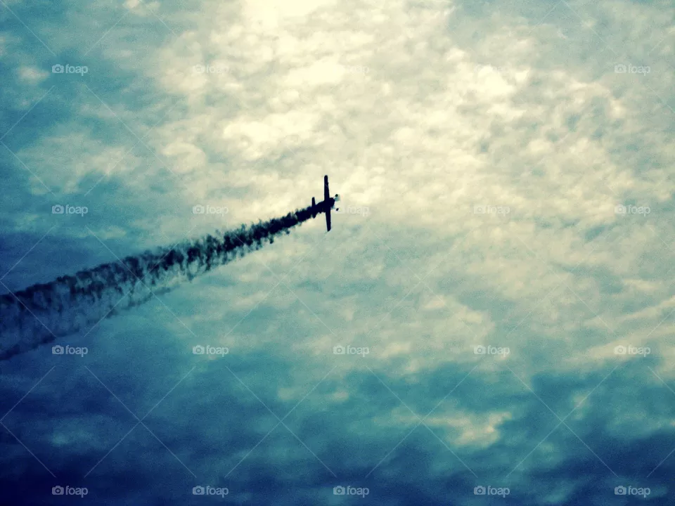 Flight